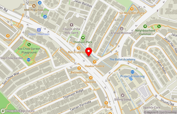 Map location of Phoenix Medical Group (Thomson) - Pain Management Clinic | Chronic Disease Clinic