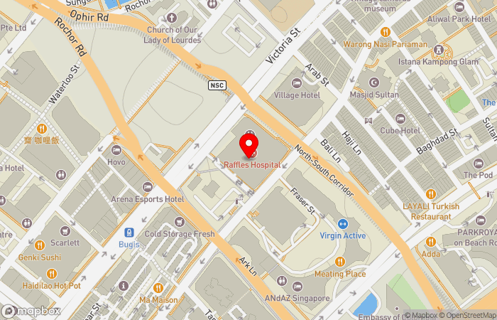 Map location of Raffles Japanese Clinic