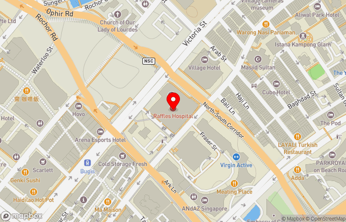 Map location of Raffles Medical