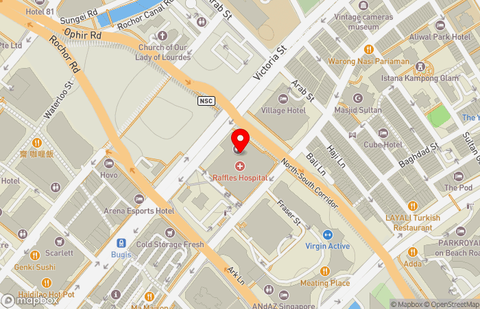 Map location of Raffles Orthopaedic Centre - 莱佛士骨科医疗中心