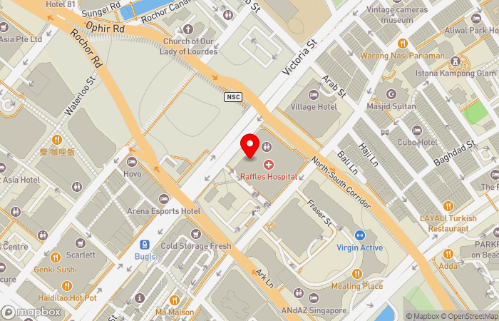 Map location of Raffles Women's Centre - Obstetrics & Gynaecology (Raffles Specialist Centre)