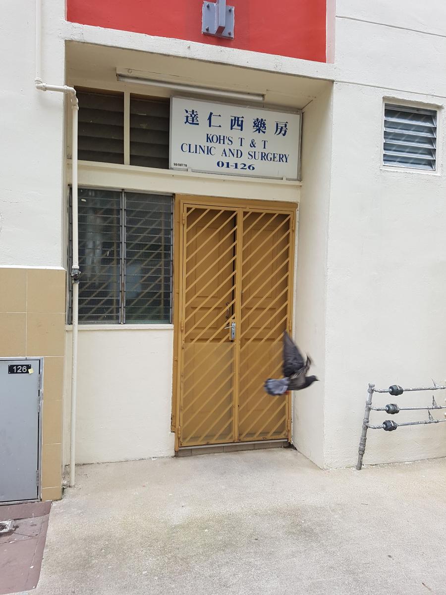 Koh's T & T Clinic & Surgery - Thumbnail